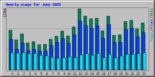 Hourly usage for June 2025