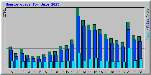 Hourly usage for July 2025