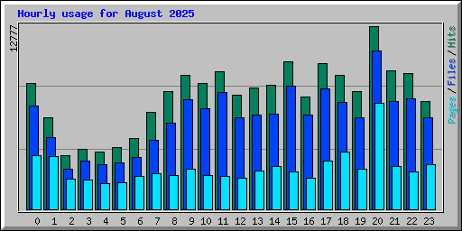 Hourly usage for August 2025