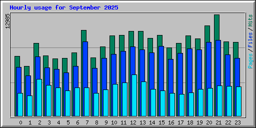 Hourly usage for September 2025