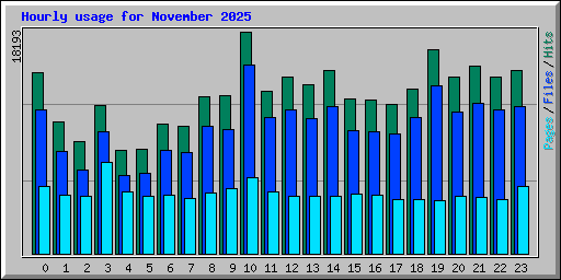 Hourly usage for November 2025