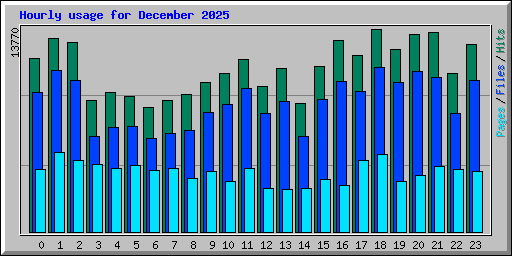 Hourly usage for December 2025