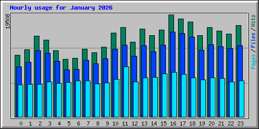Hourly usage for January 2026
