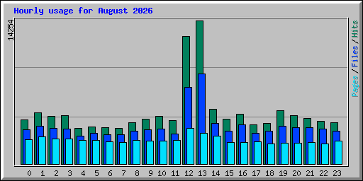 Hourly usage for August 2026
