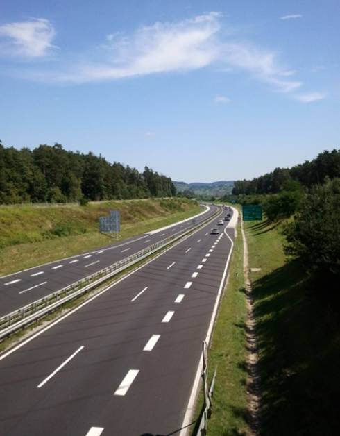 tezenski gozd3